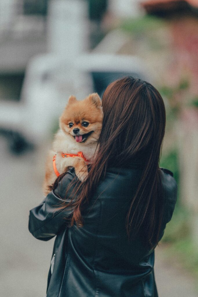 decoding dog body language