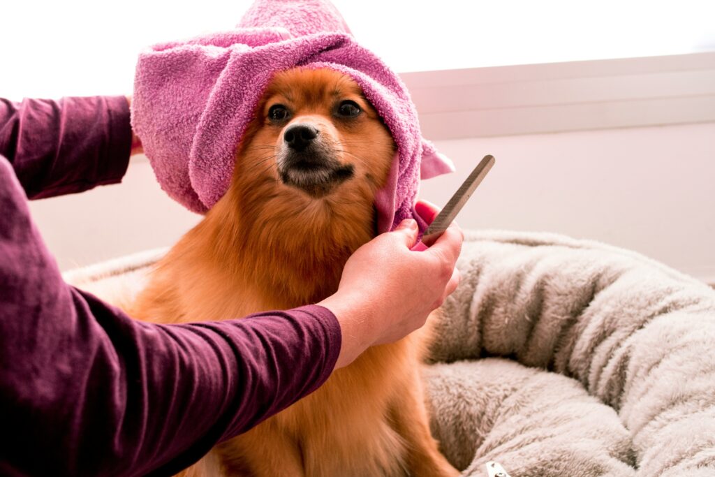 importance of grooming
