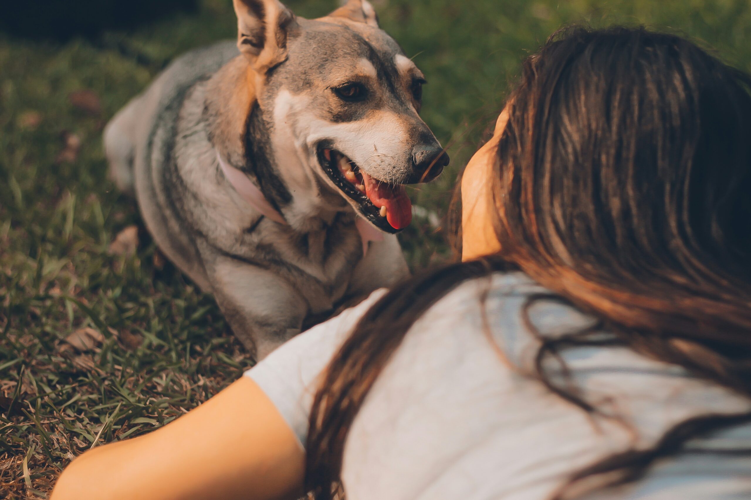 Strong bond with pet